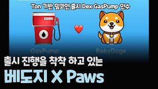 베이비도지 톤기반 밈코인 출시 Dex인 GasPump 인수 / PAWS 프라이빗키 / BabyDoge 코인