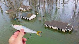 Fishing for 13lb BASS In FLOODED Neighborhood! (Kayak Fishing)