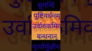 Mahamrityunjay Mantra  Shiva mantra #shorts #outubeshort