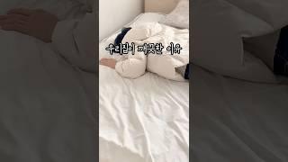 우리집이 매일 깨끗한 이유#살림#겨울필수템#주방템#온풍기#욕실온풍기#무쇠솥#스텐팬