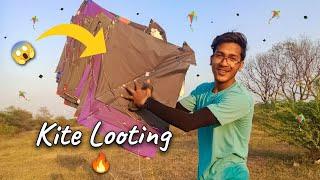 Kite Looting || पतंग लूटी #kitelooting #kitelover #caughtkite