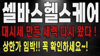 셀바스헬스케어 상한가 임박! 몇년전 대시세 만든 세력 다시 등장했다! 셀바스헬스케어 주가 전망