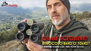 Quale scegliere? Binocolo 8x42 o 10x42? Pregi e difetti in compagnia degli Ibis Toth