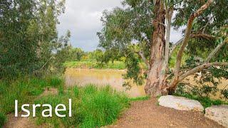 Relaxing Rain and The Nature of Israel. Full Immersion in Deep Sleep. Sorek River