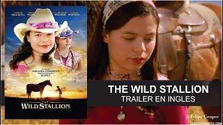 The Wild Stallion (2009)