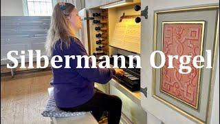 Silbermann Orgel Glauchau - Orgel Vlog AHS, Orgelvermittlung