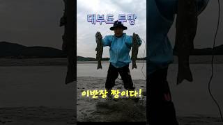 대부도 투망 이반장 짱이다!#shorts [화성이반장]