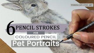 Beginners Guide to 6 Simple Coloured Pencil Strokes for Pet Portraits