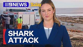 Search continues for shark attack victim | 9 News Australia