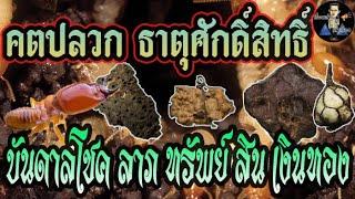 คตปลวก | ธาตุศักดิ์สิทธิ์ | ของดีหายาก | ของทนสิทธิ์ | ธาตุกายสิทธิ์..!!