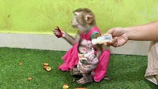 Good Sister Doni Tenderly Care & Huq Babi Bubu To Mom Feedinq Milk To Him