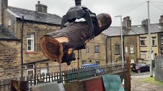 Log delivery, olive ash and brown oak