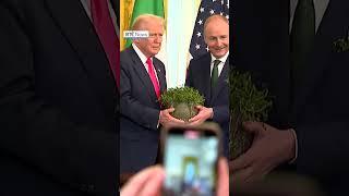 'I love the Irish', says Trump at shamrock ceremony