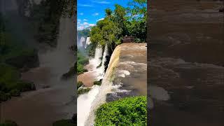 Falling in love with Iguazu #shorts #waterfall #iguazu #amazing #wanderlust #brazil #travel #couple