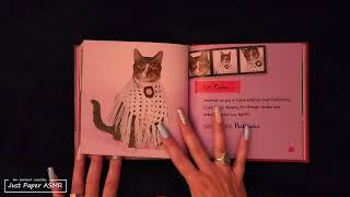 ‍⬛️ ASMR Page Turning Through Cat Books ▪︎ Sleep, Study & Relaxation ▪︎ No Talking