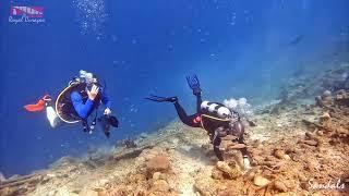 Dive Sandals Resorts Curacao Dive Against Debris