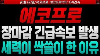 [에코프로 에코프로비엠 에코프로머티 주가전망] [2차전지]세력이 싹쓸이 한 이유