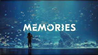 Make Memories with GetYourGuide - Unforgettable travel experiences