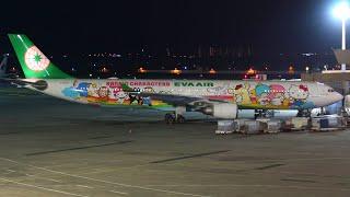 TRIP REPORT | EVA Air HELLO KITTY A330-300 | Taipei to Manila | Economy Class | World Trip #07