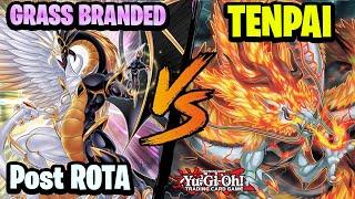 Branded Despia vs Tenpai - Post Rota Yu-Gi-Oh!