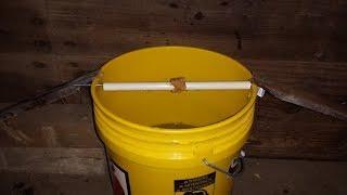 Bucket Mouse Trap