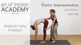 Force Transmission and What It Feels Like | Anatomy Trains in Motion