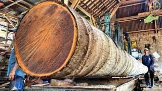 Taming the Coconut Colossus: Sawmill Expertise for Home Building