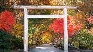 The Japanese Countryside in Autumn is Pure Magic