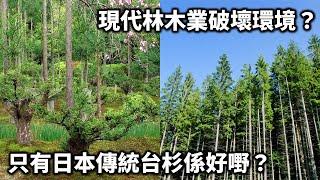 20240616H 現代林木業破壞環境？只有日本傳統台杉係好嘢？