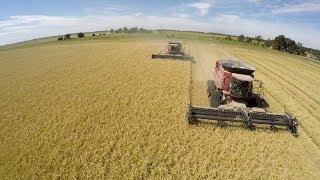 Arkansas Rice Harvest 2017