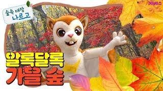 노랑노랑 나뭇잎은 은행 나무! 빨강빨강 나뭇잎은 단풍 나무!ㅣ알록달록 가을 숲ㅣ숲속 대장 나르고ㅣKBS 방송