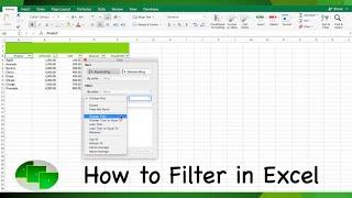 How to Filter in Excel