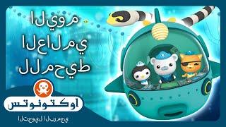 أوكتونوتس |   🫶 نحن المحيط  |  اليوم العالمي للمحيطات  خاص! | حلقات مجمعة