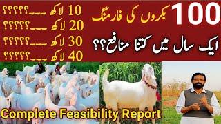 Feasibility report of 100 goats | Bakra Farming In Pakistan | Goat Farming | Profit of goat