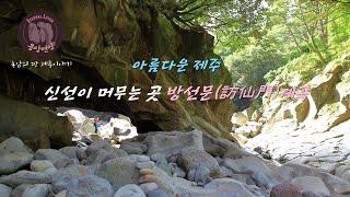 아름다운 제주  -신선이 머무는 곳 방선문(訪仙門)계곡/Bangseonmun Gate, the Valley of the Gods/방선문의 참꽃 -