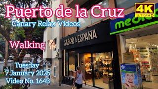 Tenerife ️ Puerto de la Cruz 7 January 2025 Teneriffa