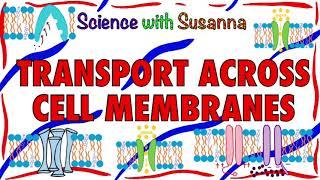 Transport Across Cell Membranes