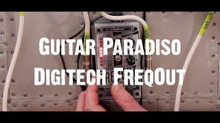 Guitar Paradiso - Digitech FreqOut - Get your FreqOn..