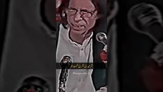 Tum Haqeeqat Nahi Ho Hasret Ho|John Elia Heart Touching Poetry|Whatsapp Status|#johneliia#shayari