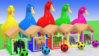 5 Giant Duck & Wild Animals Cage Game Cow Gorilla Rhinoceros Elephant Sheep Crossing Fountain