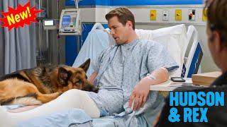 Hudson & Rex 2024 - Season 1 Ep. 7 - Hudson & Rex Full Episode