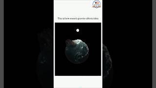 How the Moon Controls Earth’s Water!  | #tides #mooneffects #science #scienceexplained #ytshorts