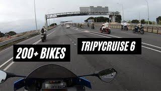 200+ Bikes Ride in Auckland - TripyCruise 6