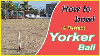 How to bowl Yorker ball | Bowling Technique | Cricket |