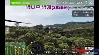 2025년 밤나무 방제