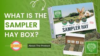 Have a Picky Pet? Try The Sampler Hay Box | Small Pet Select