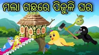 ମଲା ଗଛରେ ପିଜୁଳି ଘର | Mala Gachhare Pijuli Ghara | Tiki Chadhei Gapa | Odia Chadhei Gapa | New Story