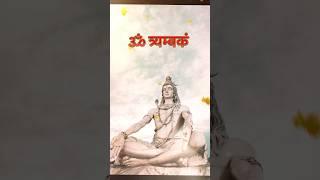 Omnamahshivay#jaimahakal#shiv#shivshankar#mantra#vince travel#mahadev