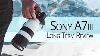 Sony A7iii Long Term Camera Review