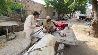 Widow Women carrying things on donkey cart